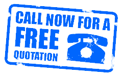 Individual Reputation Management